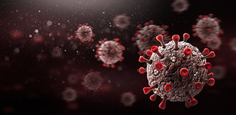 The findings have been published in the International Journal of Infectious Diseases. Credit: iStock Photo