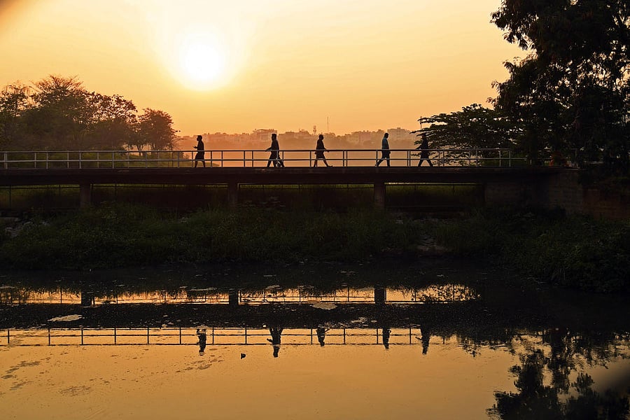 Choose the golden hour for great shots. (Pics by author)