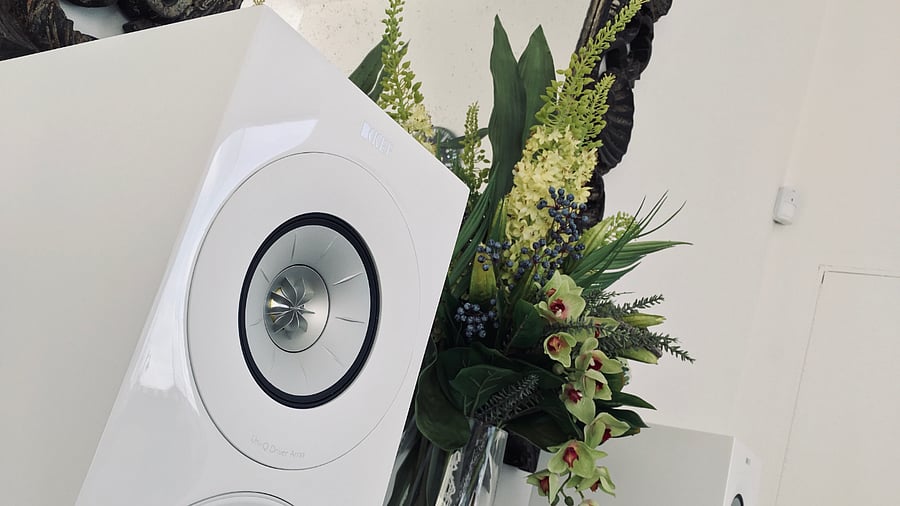 Credit: commons.m.wikimedia.org/david falkner