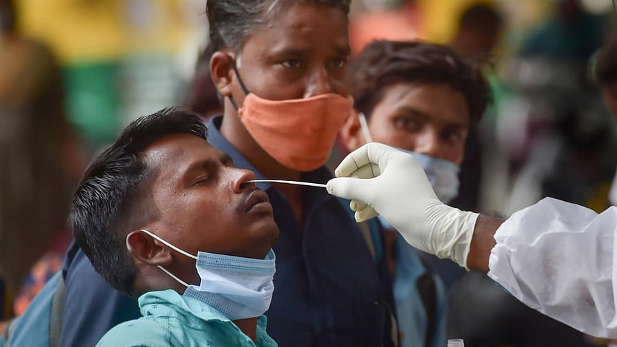 Health worker collects swab samples for Covid testing. Credit: PTI Photo