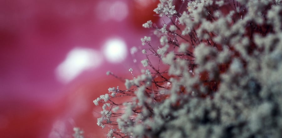 Representative image. Credit: iStock Photo