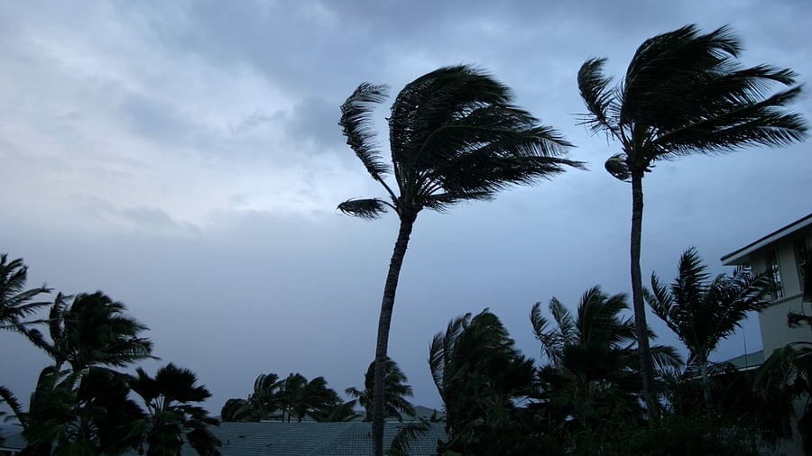 Representative Image. Credit: iStock Photo