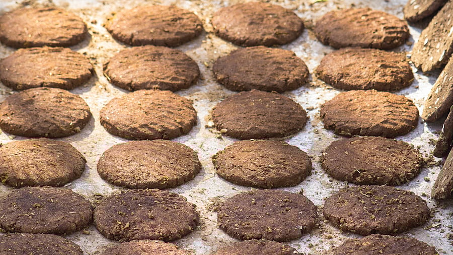 Representative Image. Credit: iStockPhoto