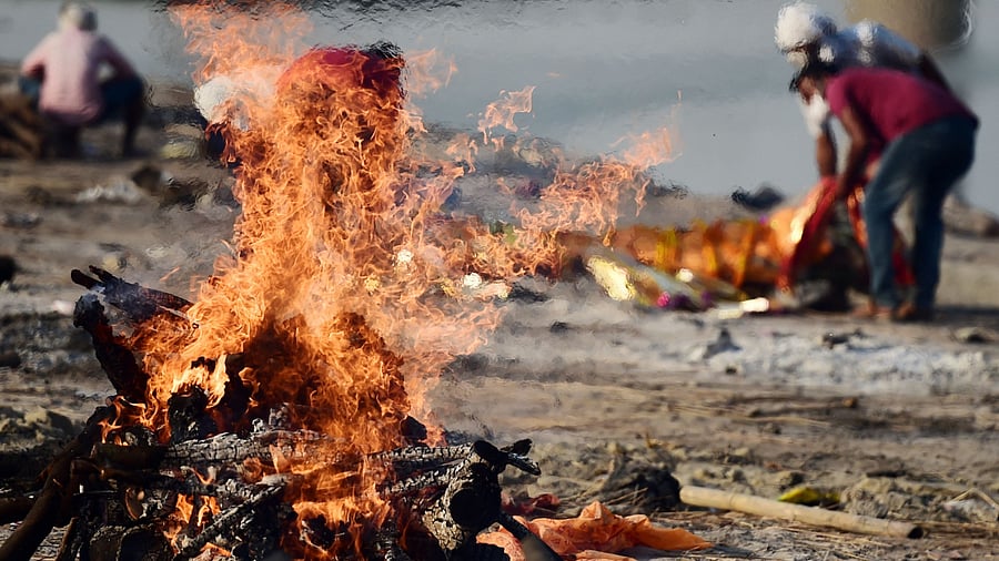Retail prices for firewood are up by at least 30 per cent, and have more than doubled in some areas. Credit: AFP Photo