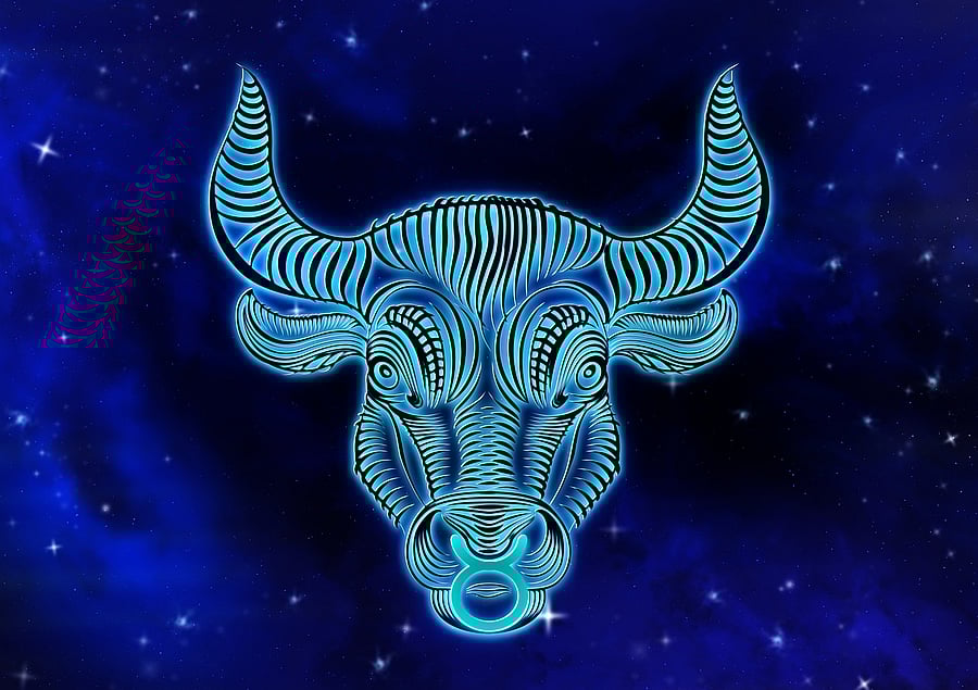 Representative Image. Credit: Pixabay Photo