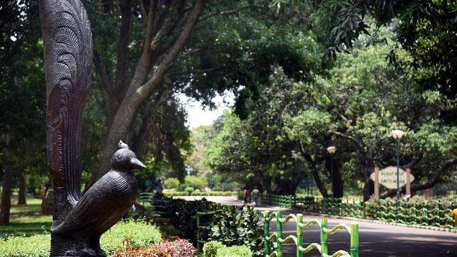 Lalbagh Botanical Garden looks desert due to Covid 19 curfew in Bengaluru. Credit: DH Photo