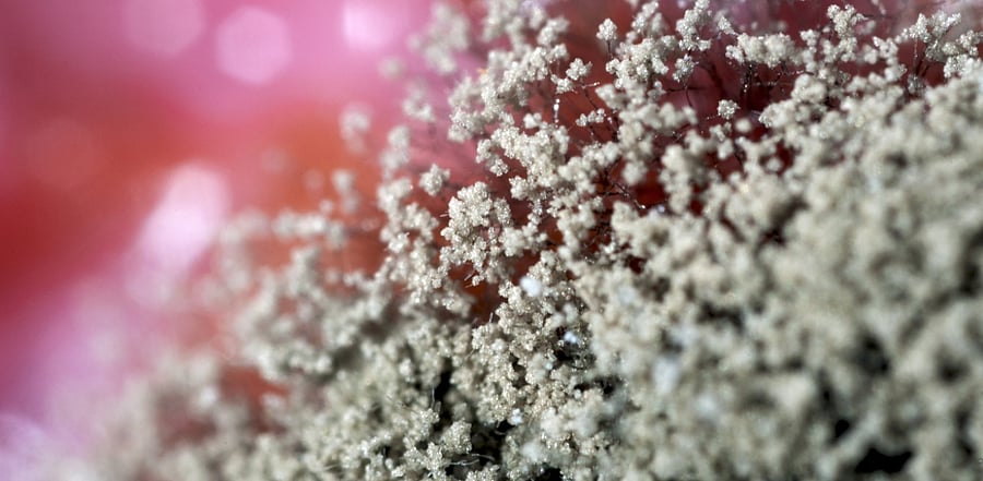 Representative image. Credit: iStock Photo