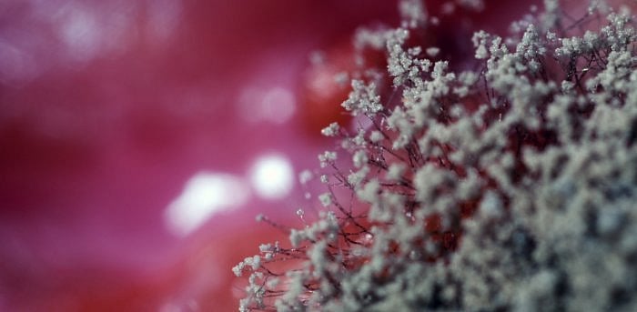 Representative image. Credit: iStock Photo