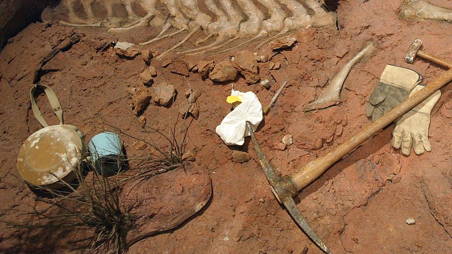 Representative Image. Credit: Getty Images