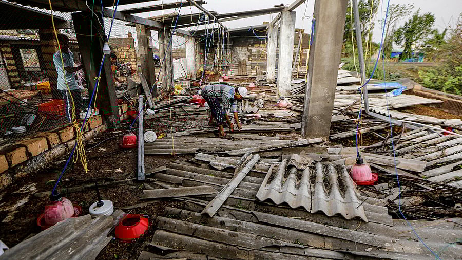 A man removes debris at a collapsed poultry farm in the aftermath of Cyclone Taukate at a village in Una, Gujarat. Credit: PTI Photo