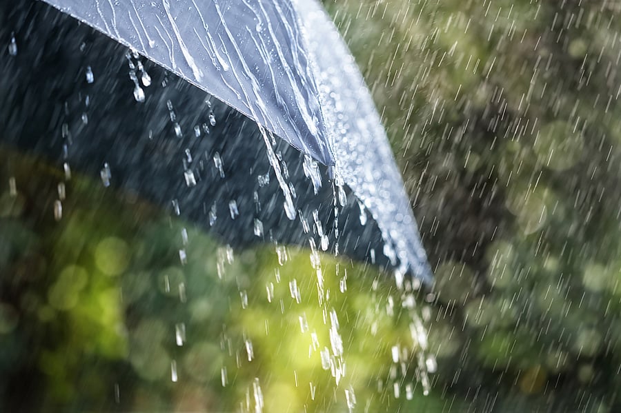 Representative Image. Credit: iStock Photo