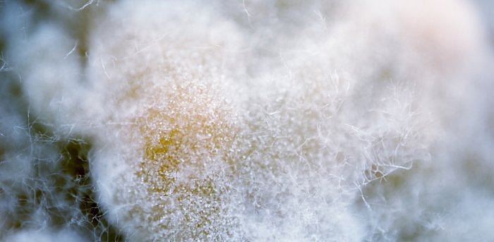 Representative Image. Credit: iStock Images