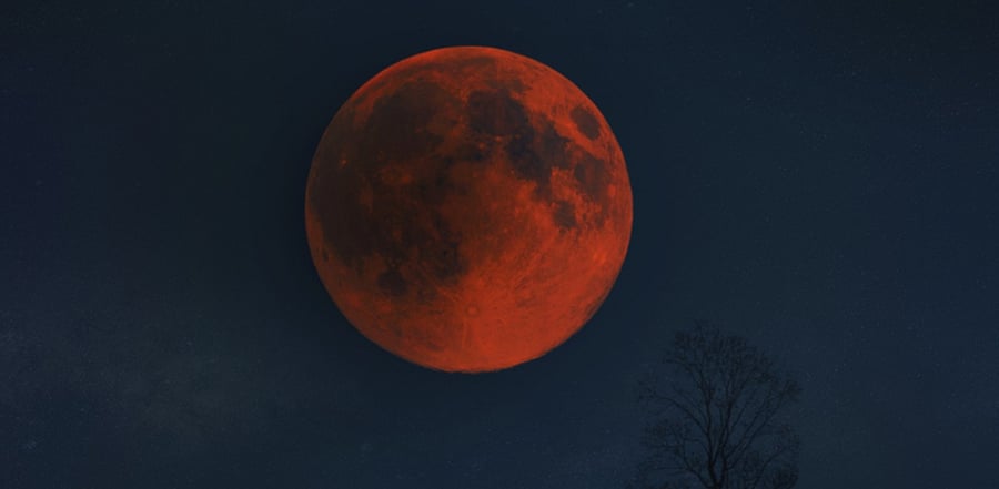 A blood moon. Credit: iStock Photo