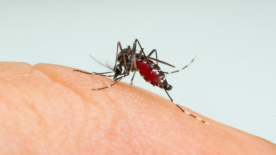 Representative Image. Credit: iStock Photo