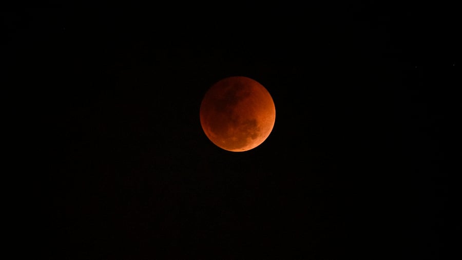 The next lunar eclipse will be visible from India on November 19. Credit: iStock Photo