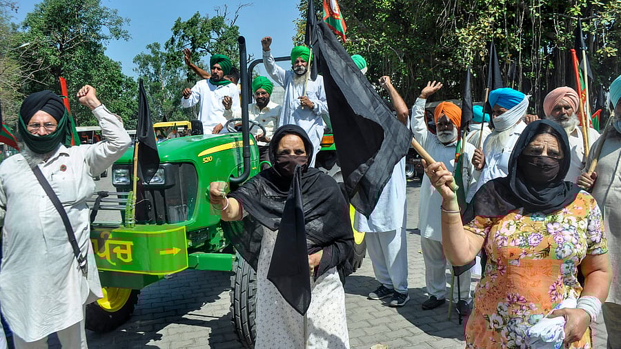 Farmers protest with black flags against farm laws in Patiala. Credit: PTI Photo