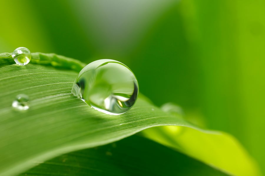 Representative image. Credit: iStock Photo