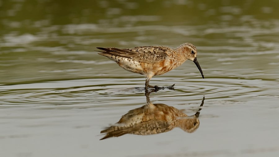 Representative Image. Credit: iStock Photo