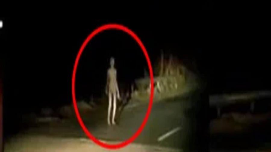 Credit: Alt News/Screenshot