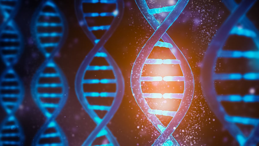 Since children weren’t a part of either of the serosurveys in the state, they’re not a part of any projections made by Covid-19 models that scientists have worked on so far. Credit: iStock Photo