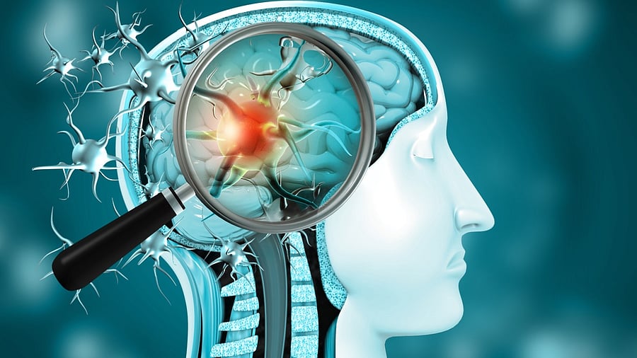 Representative Image. Credit: iStock Photo