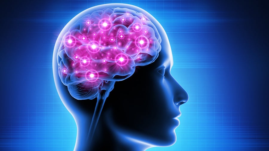 Representative Image. Credit: iStock Photo