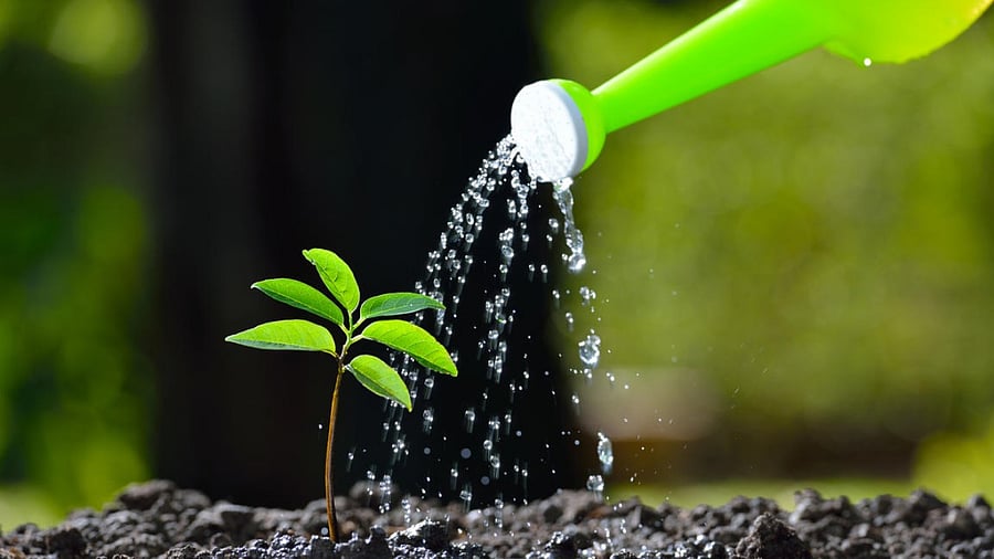 Credit: Getty Images