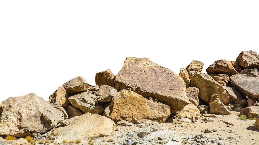 Representative image. Credit: iStock Photo