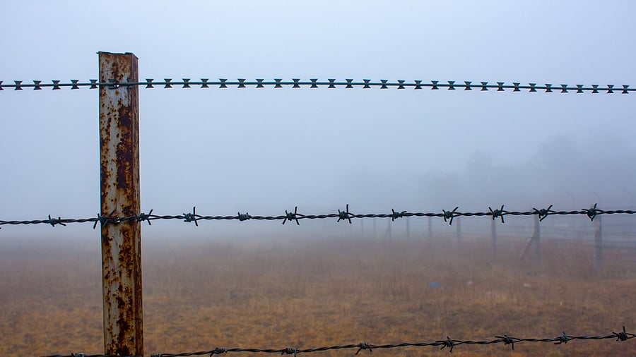 Rajagopalan's Xinjiang series won the Pulitzer Prize in the International Reporting category. Credit: iStock Photo