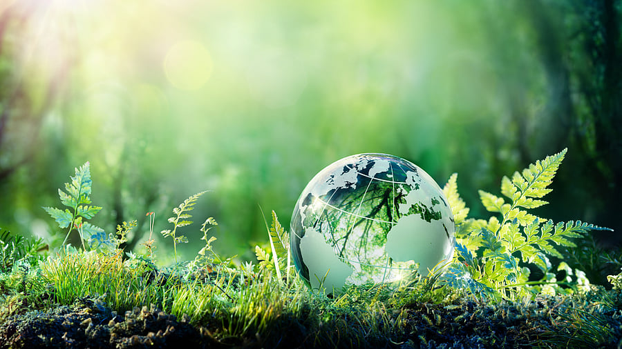 The NGT gave one last opportunity for compliance. Credit: iStock