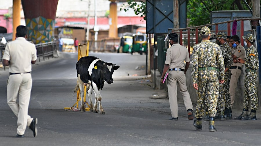 The first phase of unlocking is set to take place in Bengaluru Urban but Bengaluru Rural will continue to be under lockdown. Credit: DH Photo