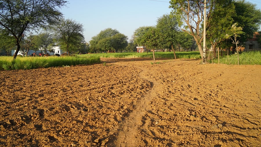 Representative Image. Credit: iStock Photo