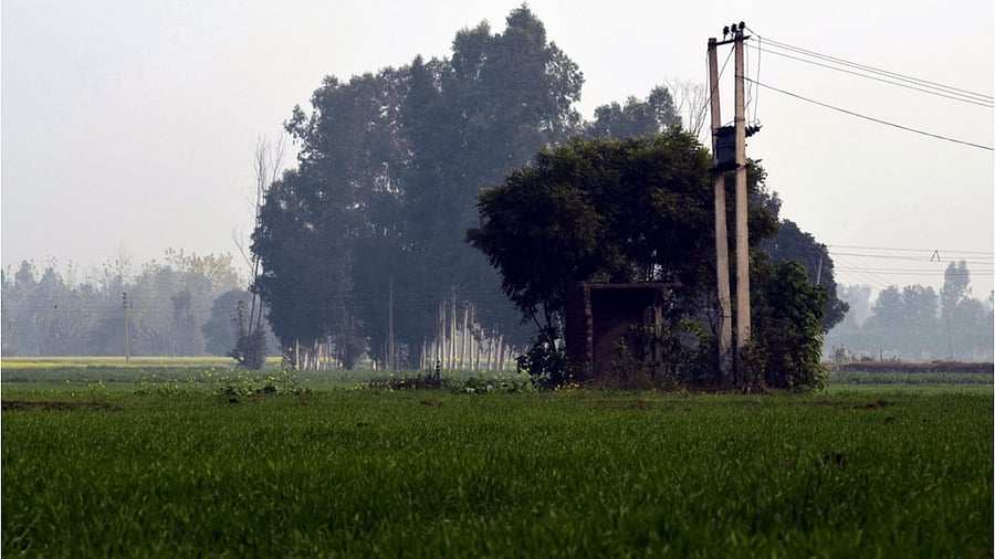 Representative Image. Credit: iStock Photo