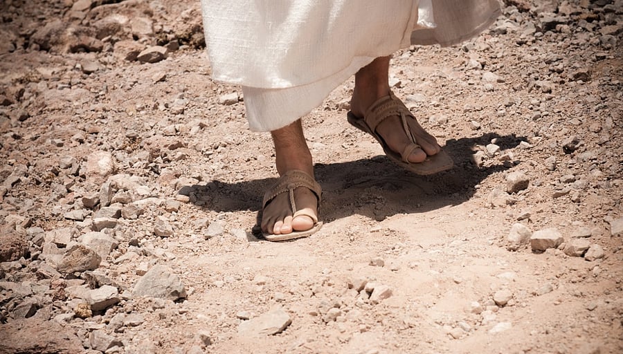 Representative Image. Credit: iStock Photo