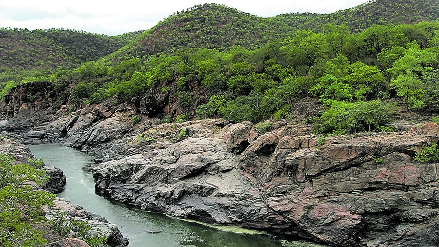 Tamil Nadu had all along strongly opposed the project and approached the Supreme Court. Credit: DH File Photo