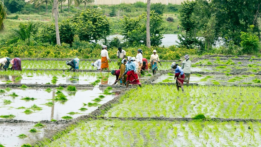 Representative Image. Credit: iStock Photo