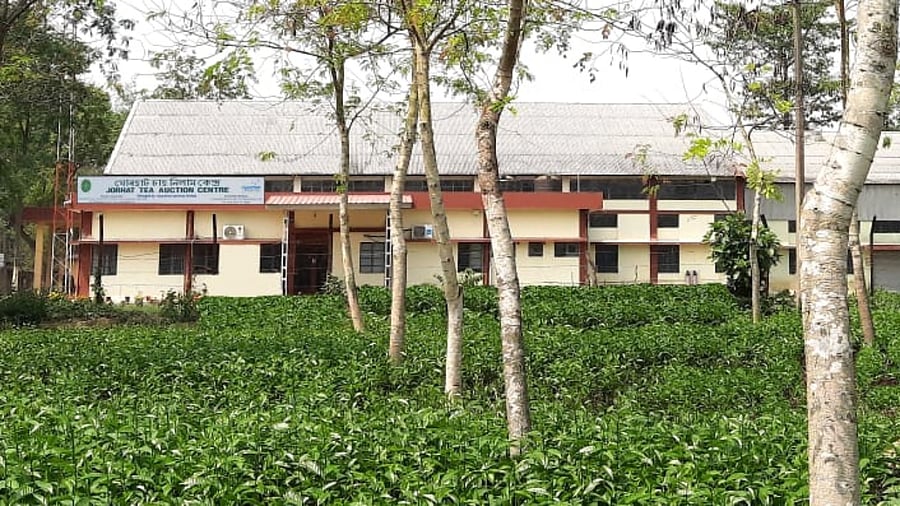 Jorhat tea auction centre, Assam. Credit: mjunction