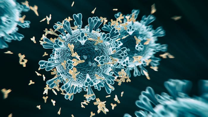 Mutations are tracked by means of genome sequencing, surveillance, laboratory studies and epidemiological investigations. Credit: iStock Photo