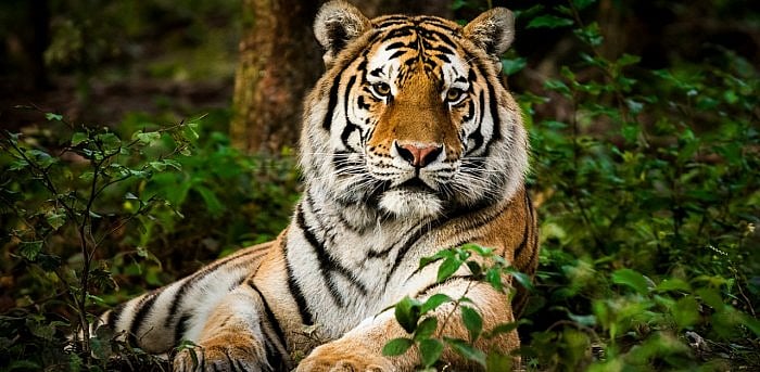 Representative image. Credit: iStock Photo