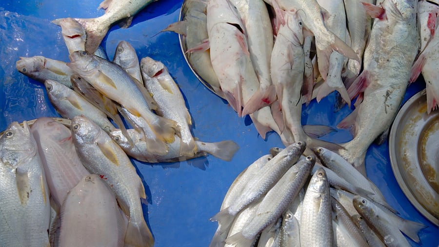 Representative image. Credit: iStock Photo