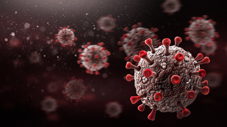 Representative image. Credit: iStock Photo