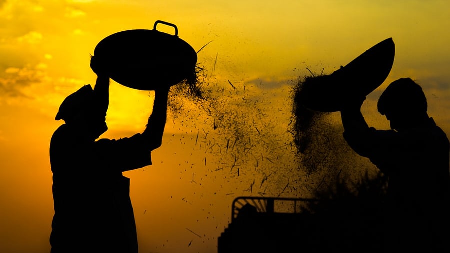 Representative Image. Credit: iStock Photo