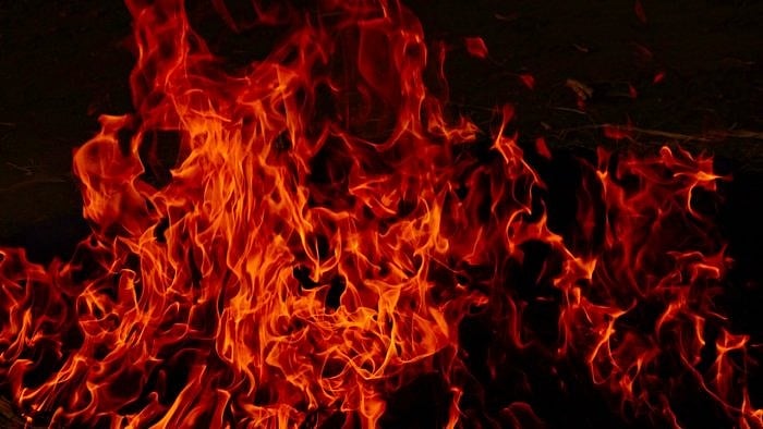 Representative image. Credit: iStock Photo