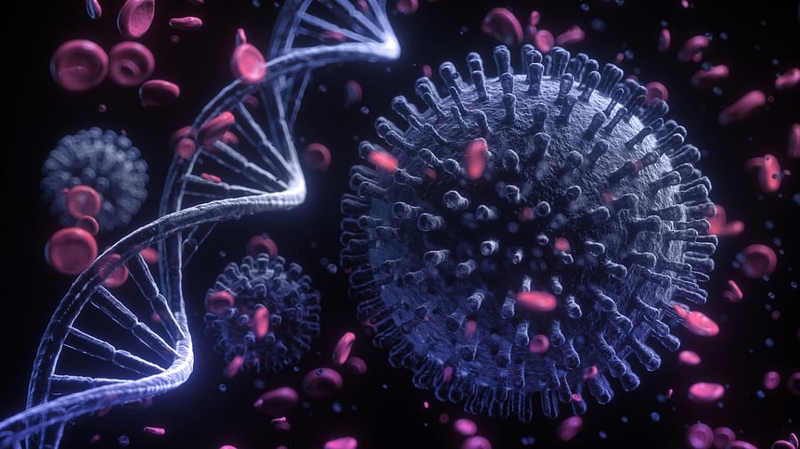 Representative Image. Credit: iStock Photo