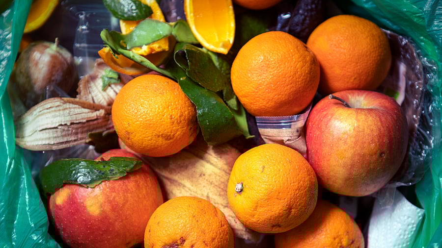 Food waste is a monumental problem. Credit: iStock Images