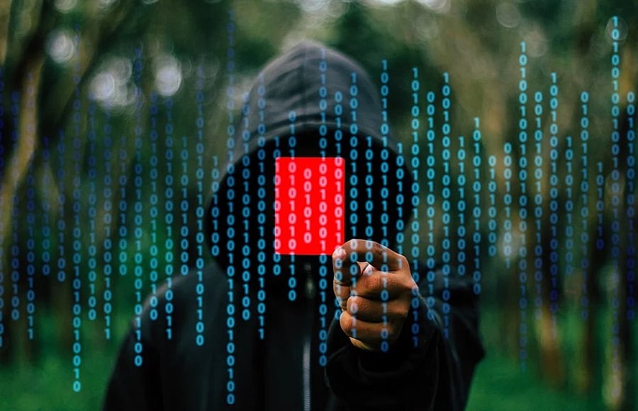 Hackers compromise Western Digital's two network-attached storage devices. Picture credit: Pixabay