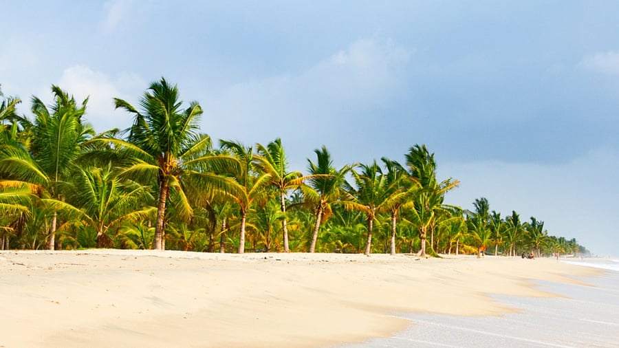 Representative image. Credit: iStock Photo