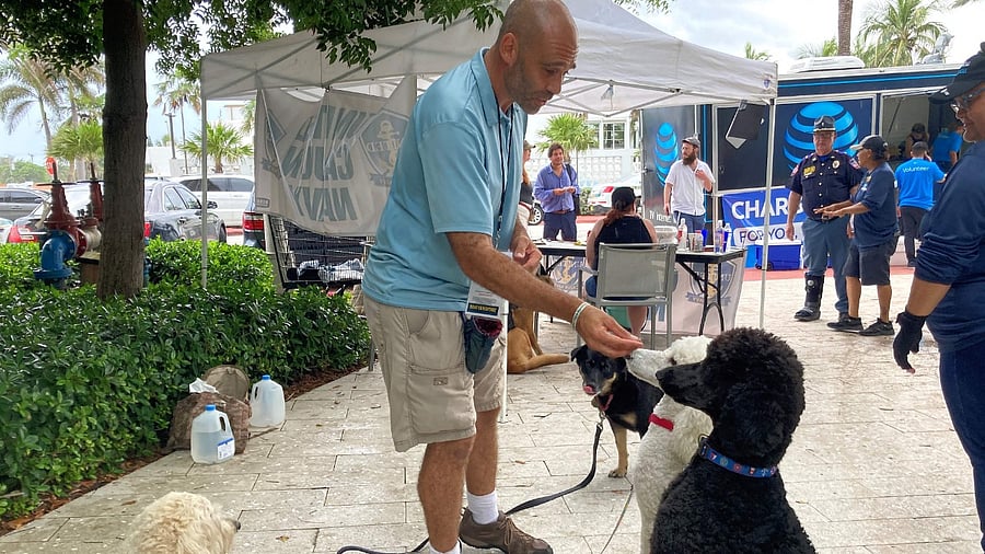 United Cajun Navy volunteer Jay Harris feeds dogs he brought for therapy in Surfside, Florida. Credit: AFP Photo