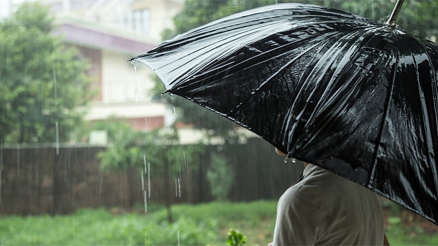 Representative image. Credit: iStock Photo