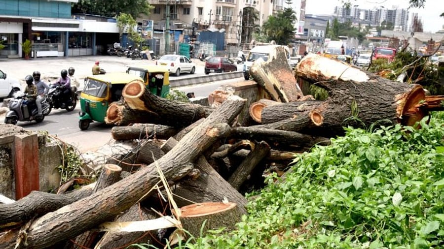 Representative Image. Credit: DH File Photo